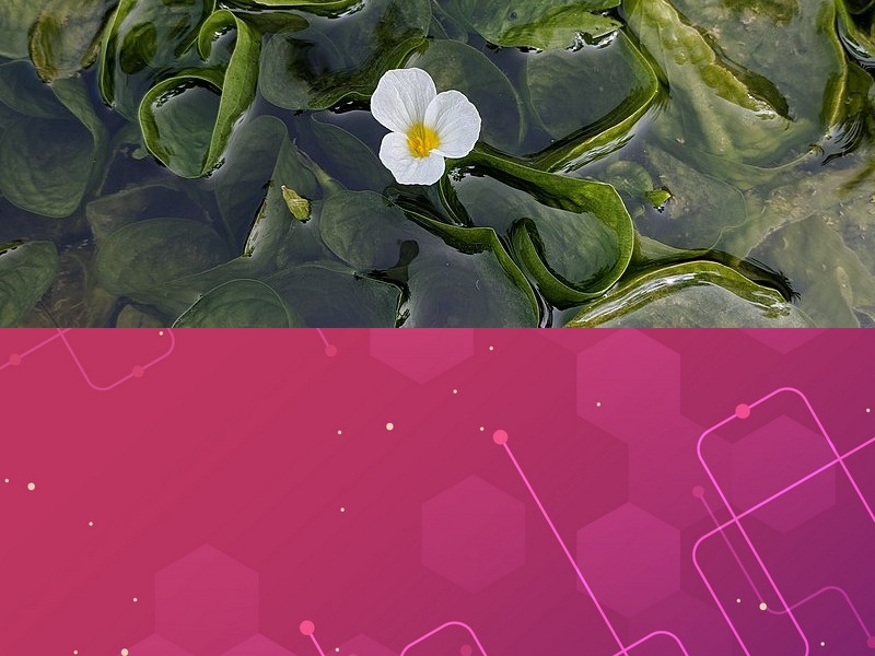 物聯(lián)網(wǎng)應用軟件開(kāi)發(fā)