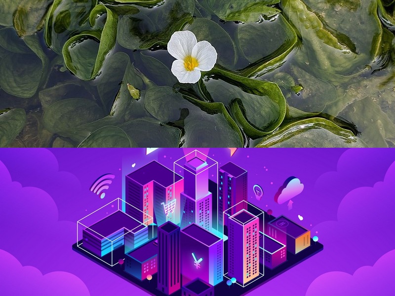 云服務(wù)開(kāi)發(fā)平臺