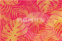 國內移動(dòng)app開(kāi)發(fā)，提供什么服務(wù)