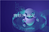 項目中的軟硬件開(kāi)發(fā)環(huán)境與工具指的是什么？