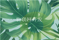 安卓手機app應用軟件開(kāi)發(fā)的發(fā)展前景如何？