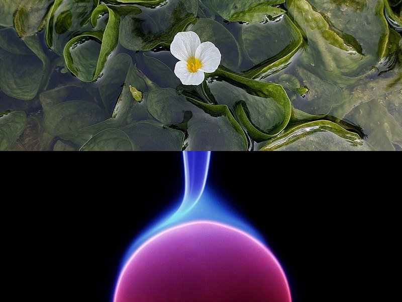開(kāi)發(fā)過(guò)智能無(wú)線(xiàn)攝像頭解決方案的產(chǎn)品公司有哪些？