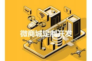 微商城定制開(kāi)發(fā)應當需要注意哪些問(wèn)題呢？