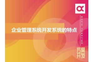 企業(yè)管理系統開(kāi)發(fā)系統的特點(diǎn)有哪些呢？
