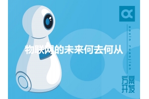 物聯(lián)網(wǎng)的未來(lái)何去何從？
