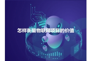 怎樣衡量物聯(lián)網(wǎng)項目的價(jià)值呢？